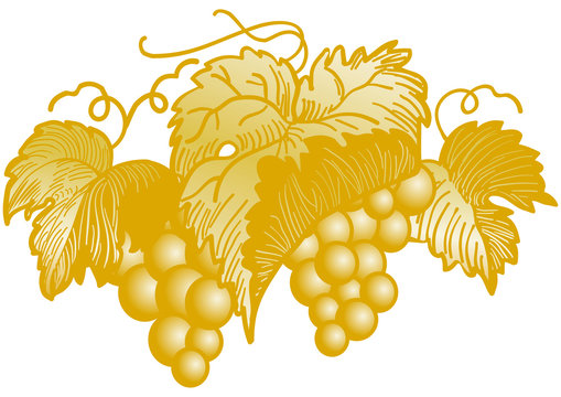 racimo uvas dorado