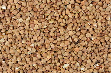 Buckwheat