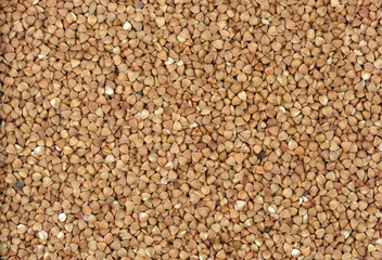 Buckwheat