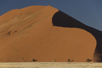 Fototapeta na wymiar Namib_4