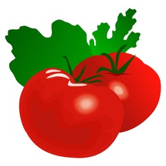 tomatos
