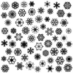 Many vector snowflakes on white