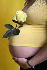 Schwangerschaft