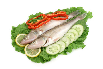 fish