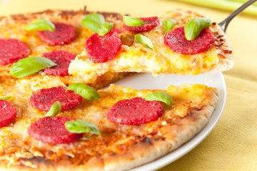 cheese and pepperoni pizza