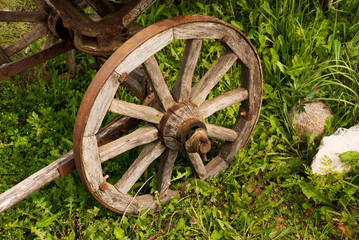 Fototapeta na wymiar Wheel of an old cart