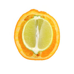 Halved orange and lime (top)