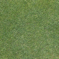 Gem&auml;hter Sportrasen