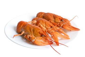 Crawfishes
