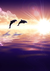 Dolphin and sunset
