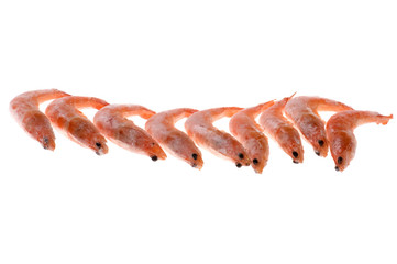 Frozen shrimp isolated on white