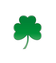 Shamrock on white isolated background