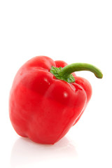 colorful paprika