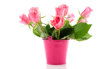 Bouquet roses in pink bucket