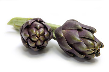 Obraz premium Artichokes on white