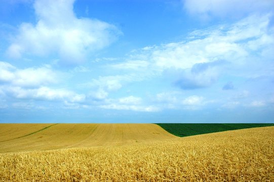Just a field