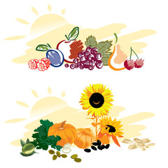 Set of fruits and vegetables
