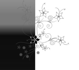 schwarz weiss Karte Floral vektor