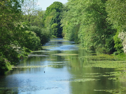 Alter Eider Kanal