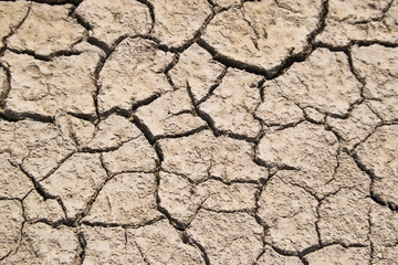 cracked ground