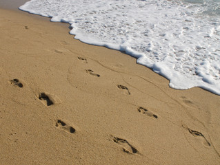Footprints on a sandy beach