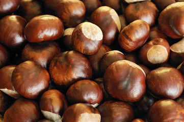 Close-up of chestnuts
