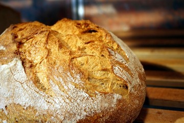 Brot