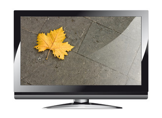 Leaf on HDTV