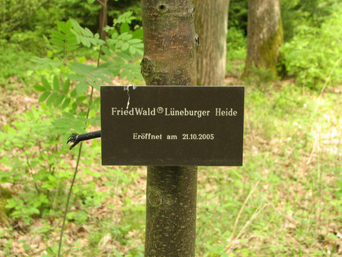 Friedwald L&uuml;neburger Heide