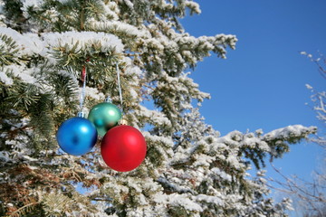 Three colour balls on a pine