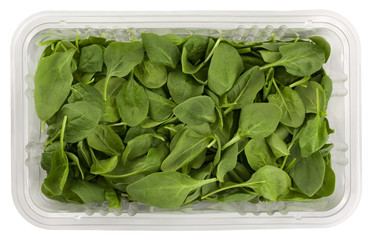 green baby spinach in a clear box