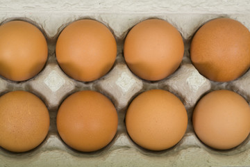 Brown Eggs in Carton