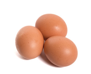eggs
