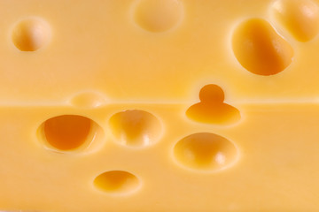 Piece of tasty cheese