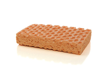 Sponge on white with clipping path