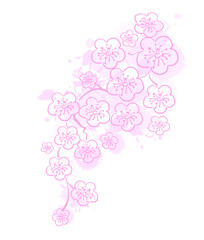 rosa Kirschblüten aquarell