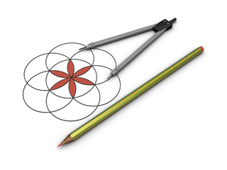 Dividers, pencil and red flower