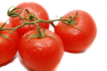 bright tomato
