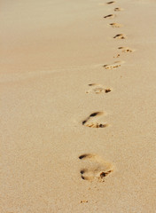 Fototapeta na wymiar footseps on the beach