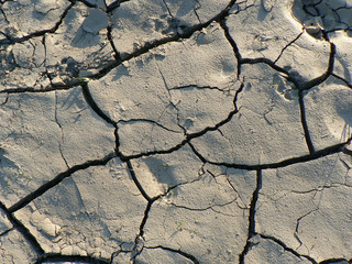Ground © JacoPoland