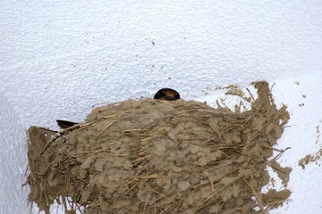 SONY DSC © LEGOS7365