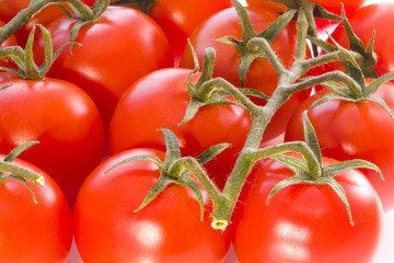 tomates rojos maduros