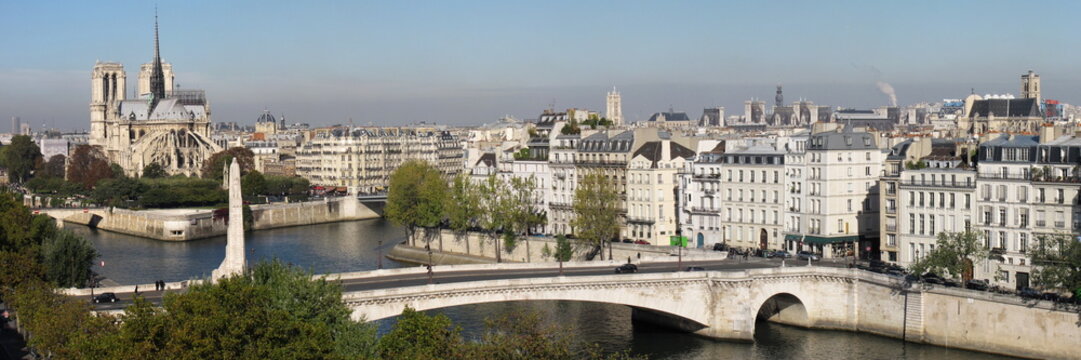 bridge and building at the historical center of Paris