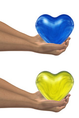 3D heart held in hands by an adult male