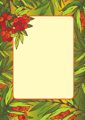 Beautiful frame with Rowan leaves. Place for sample text.