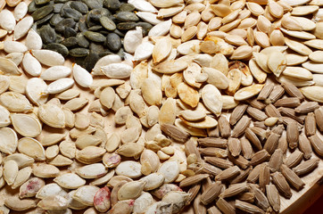 Close up of different dry pummpkin seed