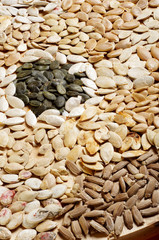 Close up of different dry pummpkin seed