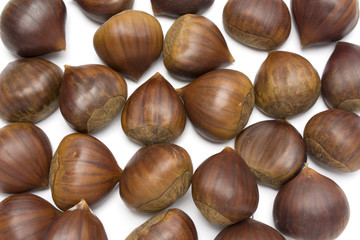 isolated brown chestnuts with a white background