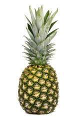 Fototapeta premium pineapple