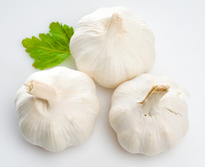 Garlic